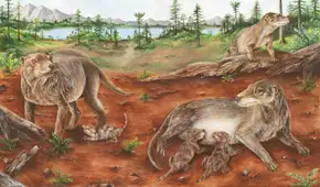 Un fósil de 236 millones de años podría reescribir la historia del nacimiento de las crías vivas en los mamíferos