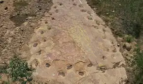 Unas huellas de dinosaurios de 150 millones de años revelan algo extraño en su forma de caminar