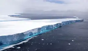 Un descubrimiento inesperado en las profundidades de la Antártida: aparecen patrones geométricos en el lecho marino