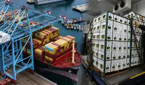 La fruta que se produce en Perú y se convirtió en la favorita de Estados Unidos: ventas crecieron casi 100% y generó más de U$21 millones en menos de 6 meses