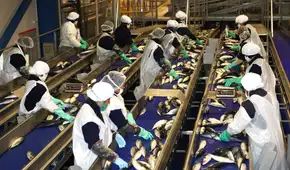 PBI creció 3,05% hasta junio, pero pesca y manufactura retrocedieron