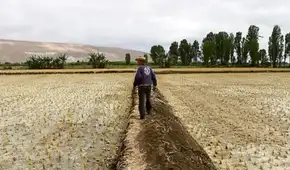 El Niño 2026-2027: sequía en la sierra podría alcanzar niveles similares a los de 1982-83