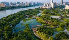 Así funciona la ‘ciudad esponja’, una innovadora solución contra inundaciones que ya usan China, EE.UU. y otros países del mundo