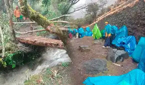 Machu Picchu: suspenden ingreso al Camino Inka por deslizamientos y fuertes lluvias