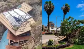 Vientos de más de 40 km/h causaron caída de árboles, postes y techos en el norte del Perú
