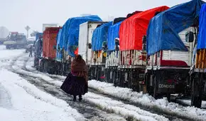 Nevadas golpean Bolivia y dejan más de 26.000 familias afectadas y miles de animales en riesgo por el frío