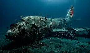 Bahréin hundió un Boeing 747 a más de 20 metros de profundidad para convertirlo en un parque submarino de 100.000 metros cuadrados