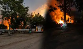 Tragedia ambiental en Chimbote: fuego consume 5 hectáreas de cobertura natural y obliga a cerrar el Vivero Forestal