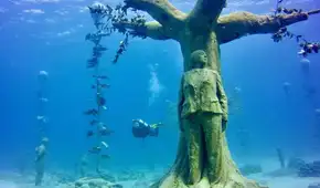 Chipre quería un bosque submarino y sumergió 93 esculturas: ahora árboles de hormigón emergen desde el lecho marino