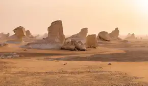 Un desierto de tiburones fue descubierto en el desierto de Egipto con 7 especies diferentes