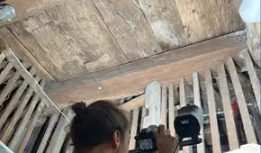 Arqueólogos investigaban una antigua bodega alemana y encontraron un barco medieval en el techo
