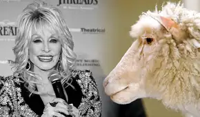 Dolly Parton y la oveja clonada que cambió la ciencia en 1997: la peculiar razón por la que compartieron nombre