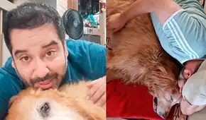 Actor Junior Silva sufre por la salud de su perrito de 14 años y responde fuerte a quienes le aconsejan que lo ‘duerma’: “Todavía quiere vivir”