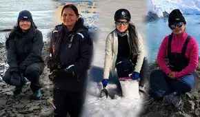 Científicas peruanas hacen historia: destacan entre las 100 mujeres líderes en investigación polar a nivel global