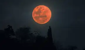 Eclipse lunar de agosto EN VIVO: las fases, horarios y cómo ver la 'Luna de sangre' que brillará durante la noche