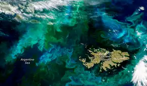 El Atlántico cambia de color cerca de las Malvinas: la NASA explica el fenómeno detrás de los enormes remolinos turquesa