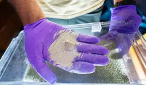 Unas bacterias modificadas genéticamente ofrecen una nueva forma de acelerar la meteorización de las rocas para eliminar el CO₂