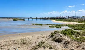 Oleajes de hasta dos metros golpean Pisco: afectan humedales, muelle y estructuras del borde costero