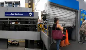 Estación Ricardo Palma del Metropolitano suspende atención por invasión de abejas: rescatistas intervienen la zona