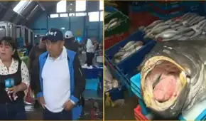 Fenómeno El Niño cambia el pescado para el ceviche en Lima: nuevas especies llegan a los restaurantes
