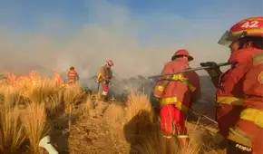 Feroz incendio forestal en Puno deja una adulta mayor fallecida y amenaza comunidades