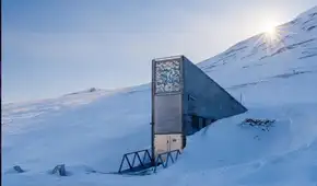 La bóveda del fin del mundo está escondida en una montaña sobre el círculo polar ártico: oculta 1,4 millones de muestras de semillas y solo se ha abierto debido a una guerra
