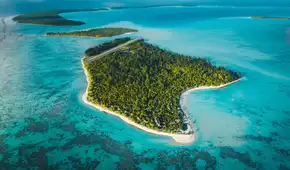 En 1966, Marlon Brando compró una isla en la Polinesia tras filmar una película: hoy es santuario con 15.614 tortugas verdes