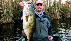 Un hombre construyó un lago para criar peces, pero la fauna silvestre se apoderó del lugar: así cambió todo en solo 1.000 días
