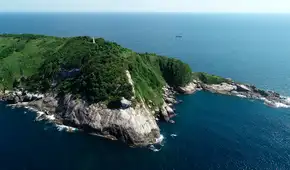 En esta isla de Sudamérica vive una serpiente por metro cuadrado, y nadie tiene permitido desembarcar