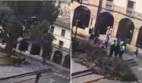 Turista se salva de milagro tras caerle un árbol encima mientras descansaba en la Plazoleta Regocijo de Cusco