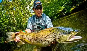 Liberaron más de 60 millones de truchas en ríos de Nueva Zelanda para recrear la pesca europea, pero desataron una invasión biológica