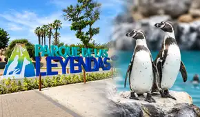 Parque de las Leyendas ofrecerá 50% de descuento en sus entradas para estas fechas de setiembre