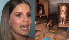 Alejandra Baigorria marca distancia de albergue en Chaclacayo tras denuncia por abandono: "No tengo obligación de ayudar a todos"
