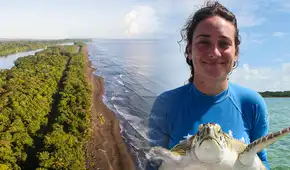 Costa Rica busca voluntarios sin experiencia para cuidar tortugas marinas en el Caribe: incluye alojamiento y 3 comidas al día