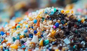 Revelan los 5 alimentos más contaminados con microplásticos y que consumimos habitualmente