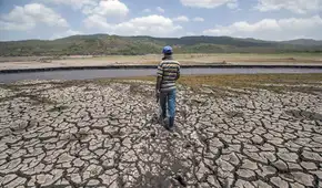 El fenómeno El Niño podría provocar inseguridad alimentaria para 16 millones de personas en América Latina, advierte el PMA