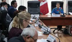 Comisión de Energía y Minas calificó de "no viable" dar facultades legislativas al Poder Ejecutivo en el sector