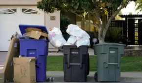 EE.UU. anuncia que revisarán los contenedores de basura de cada casa para multar a quienes tengan estos residuos: Así es la nueva regla