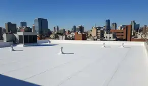 Una pintura blanca podría ser una solución contra el calor extremo: el experimento de EE. UU. que redujo la temperatura y ahorró energía