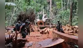 Mataron a 37 líderes amazónicos y otros 43 están bajo amenaza