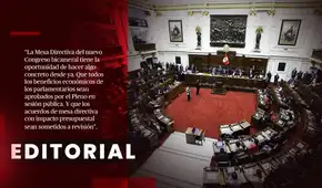 Los privilegios parlamentarios deben revisarse