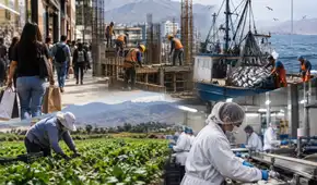 Economía peruana creció 3,56% en julio, pero pesca, agro e industria frenaron un mayor avance
