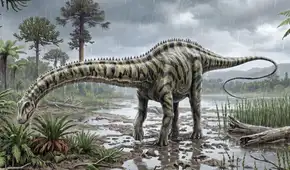 Paleontólogos españoles identifican el primer diplodocus de Europa: habría llegado a través de puente terrestre desde norteamérica
