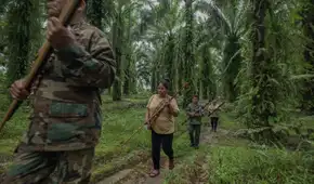 Coca creció más de 600% en Ucayali y territorios indígenas peligran: 6 líderes kakataibo asesinados desde 2020