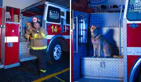Bomberos dan último adiós a Spartan, perrito que acompañó por 12 años el trabajo de compañía en Breña: “Era un efectivo más”