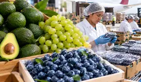 Agroexportaciones peruanas rozan los US$7.000 millones: cinco productos concentran casi la mitad de los envíos
