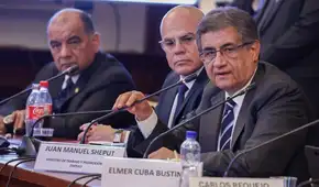 Sheput alerta un millón y medio de "ninis" para justificar facultades: "¿Qué derecho le vamos a quitar si ni siquiera los tienen?”