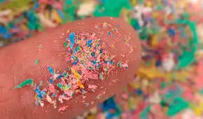 Científicos descubren que un popular alimento fermentado puede ayudar a eliminar los microplásticos del cuerpo