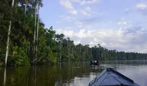 ¿Tienes entre 20 y 30 años? Gana una experiencia en la Reserva Nacional de Tambopata con un video