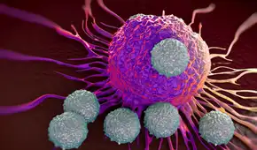 Científicos logran desaparecer el cáncer metastásico de un niño de 3 años tras dos dosis de terapia experimental